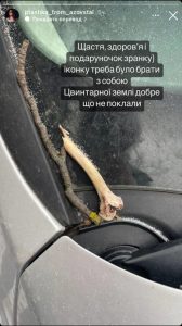 621eeba333f1e60276f5319c0aba2870