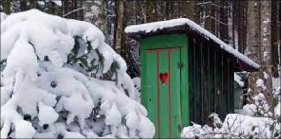 1676215825 sortyr zyma