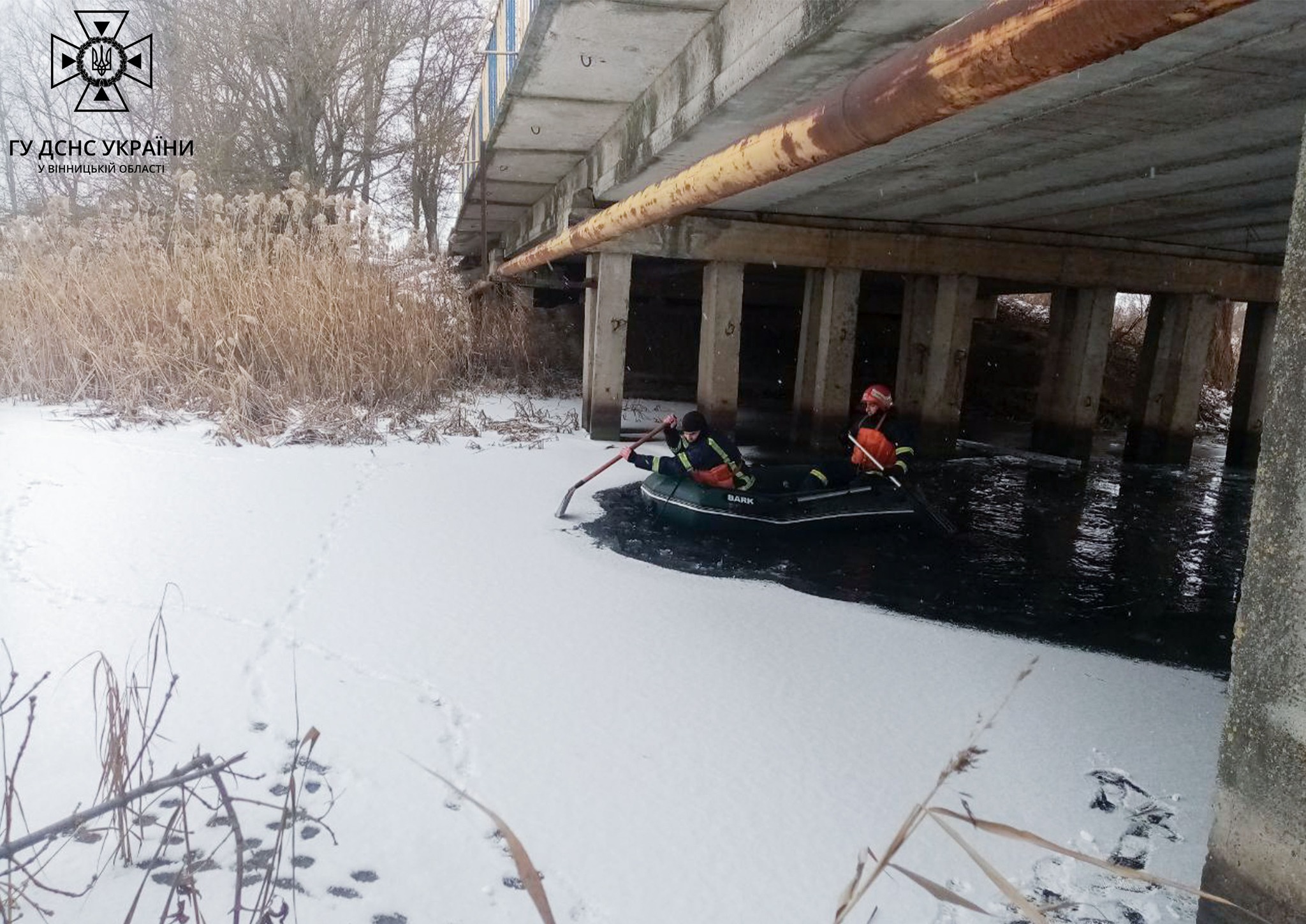 329515436 743378003922758 4794307686231073536 n