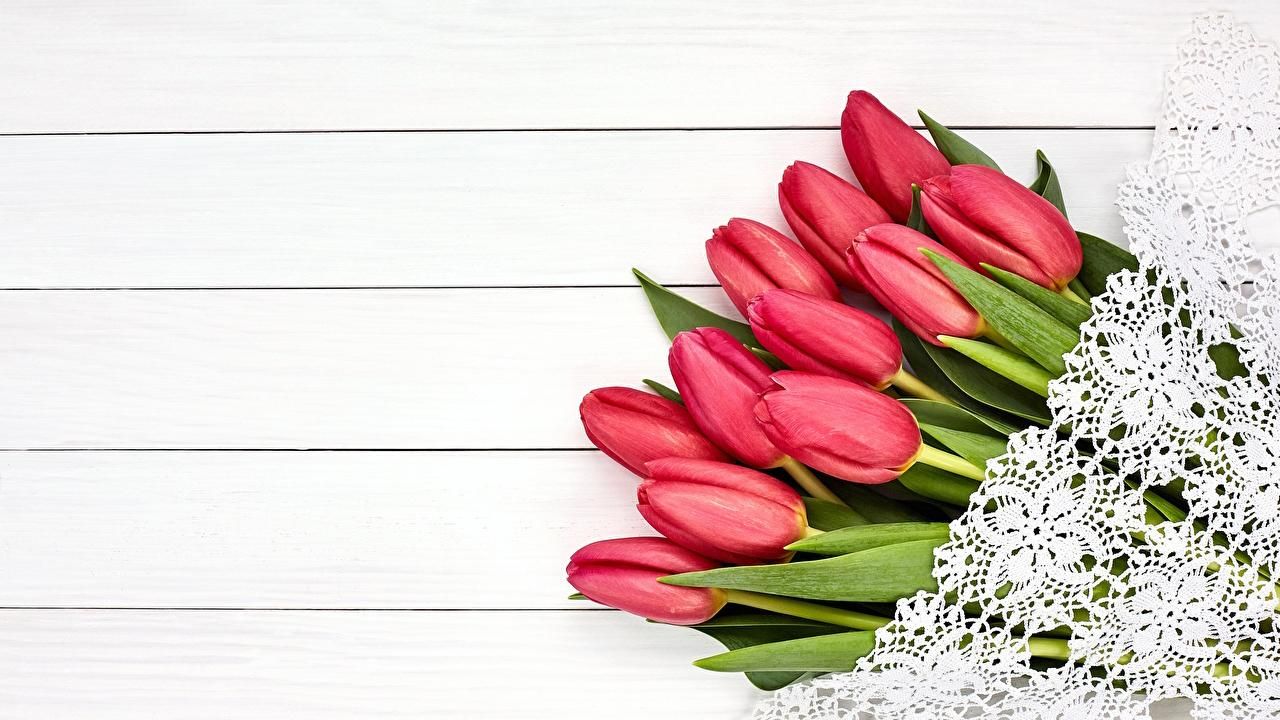 buket tyulpaniv 8 bereznya