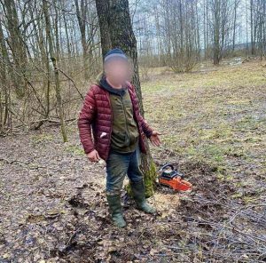 post image 167526929816