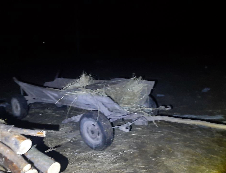 330288617 590979619575716 2742093560365299414 n