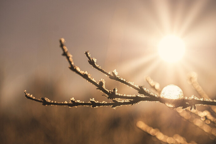 свято 31 березня