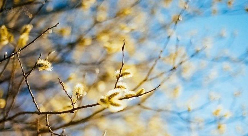 bb624066d321e6f55be60156929c8ce6ddcb1017 140209fd861629b0f766d19c5effc16d