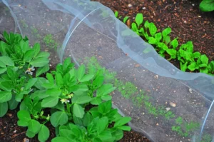 hitrosti opytnyh dachnikov 8.jpg