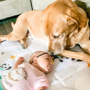 1080x1080 0xac120003 19362840321596462531 1