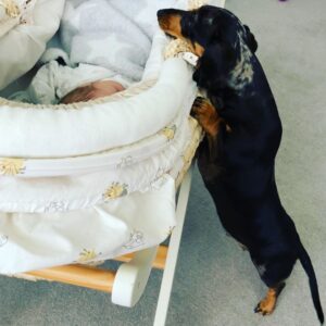 1080x1080 0xac120003 7632965911596462393 1