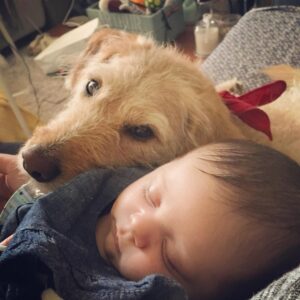 1080x1080 0xc0a839a2 15469676441508512293 1