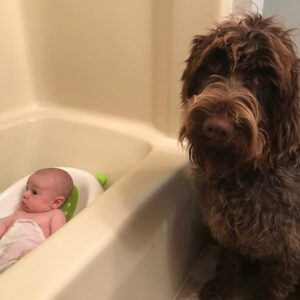 1080x1080 0xc0a839a2 15649405741508512307 1