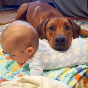 1080x1080 0xc0a839a2 7296518611508512302 1