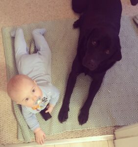 1080x1149 0xc0a839a2 18112427621508512298 1