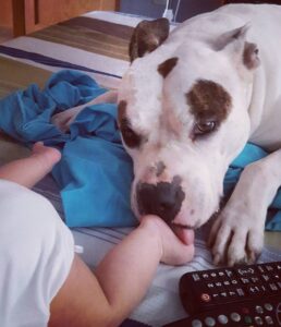 1080x1255 0xc0a839a2 11563661811508512303 1