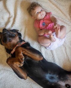 1080x1350 0xac120003 14515472581596462125 1