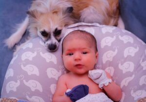 1080x754 0xc0a839a2 11269942561508512295 1