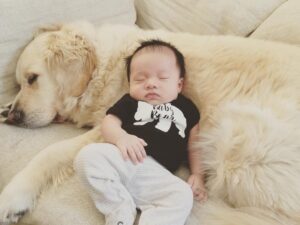 1080x809 0xc0a839a2 16714329241508512301 1