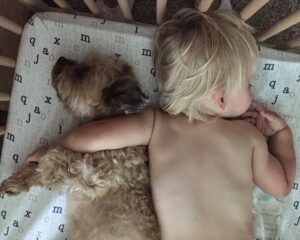 1080x864 0xc0a839a2 8087504841508512297 1