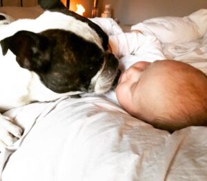 1080x948 0xc0a839a2 17081687871508512306 1