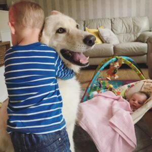 600x600 21 d271dcefd1515e5b54640068bcad3384 1080x1080 0xc0a839a2 11609219661508512290 1