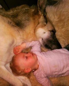 608x760 0xc0a839a2 1749660891508512300 1