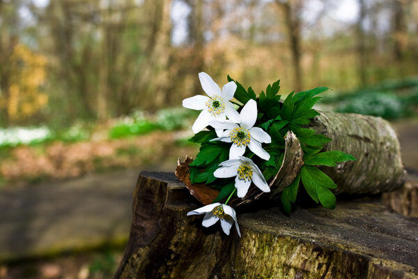 свято 28 квітня