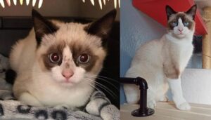 728x414 1 169968d9b8bb350eb6221b00120b1cee 1080x614 0xac120004 6229716461679304457