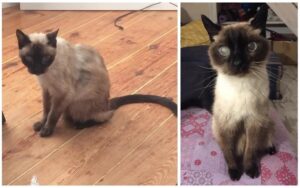 728x456 1 f2b068ad511db7c97b54c5efdc0e1aa2 1080x676 0xac120004 12159905721679594060