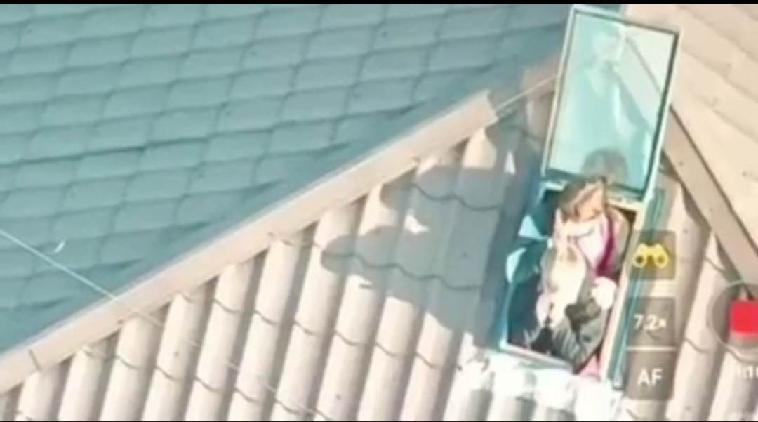 затоплених Олешок