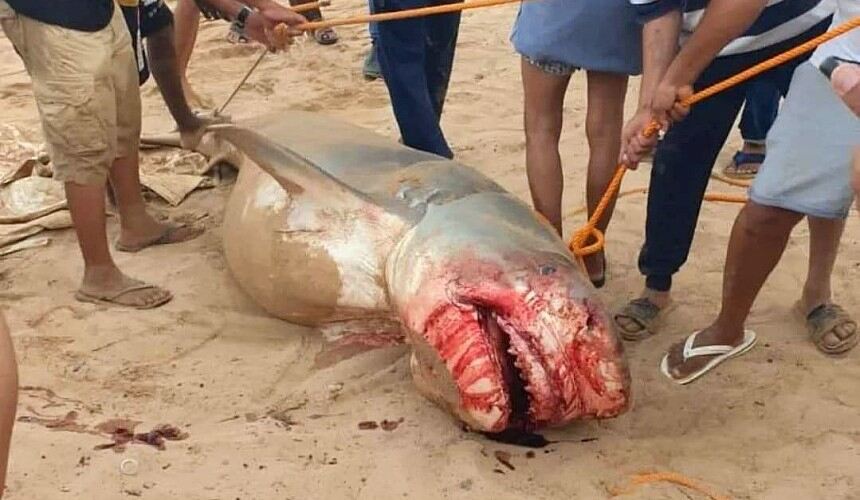 на росіянина