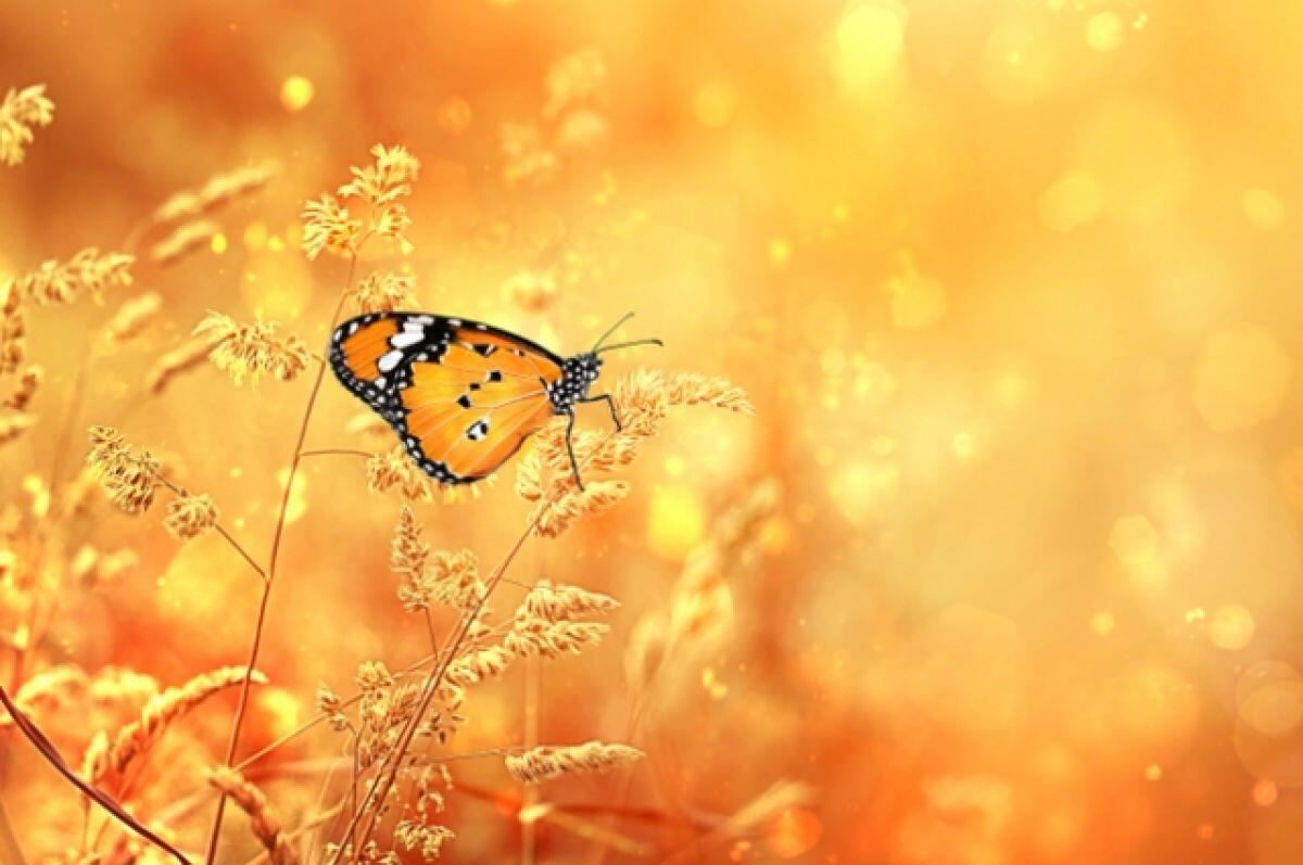 погода на серпень 2023 року