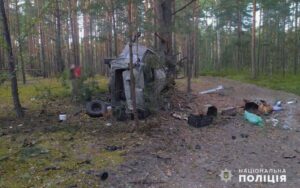 їхали по чорниці