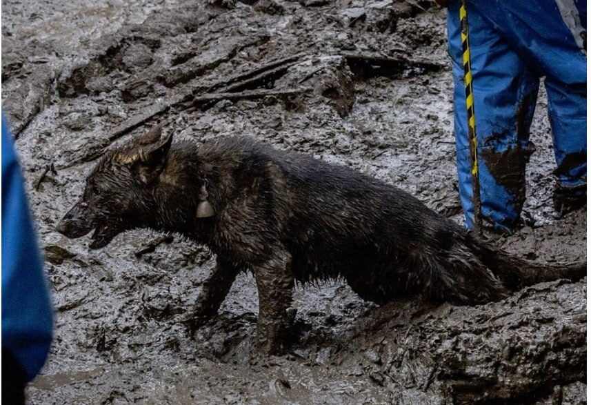 зсув ґрунту Грузія