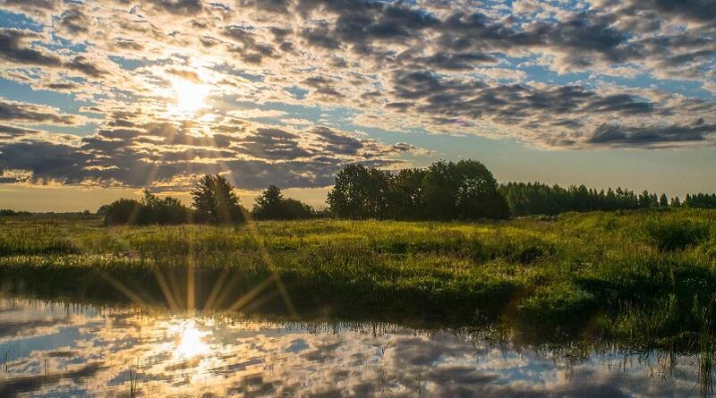 прогноз погоди 12 серпня 2023 року