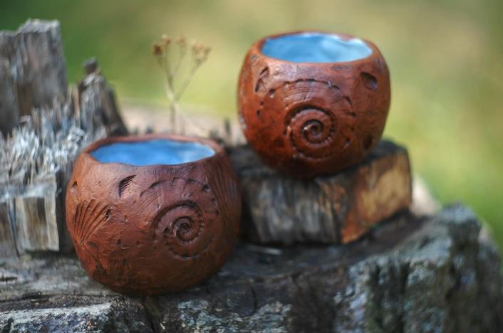 Чудодійна глина