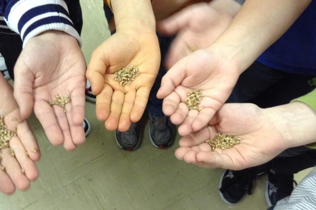 Посівалки про мир в Україні