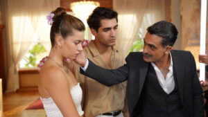 серіал Зимородок