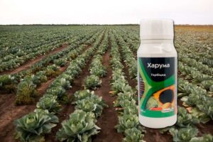 Харума Гербицид відгуки