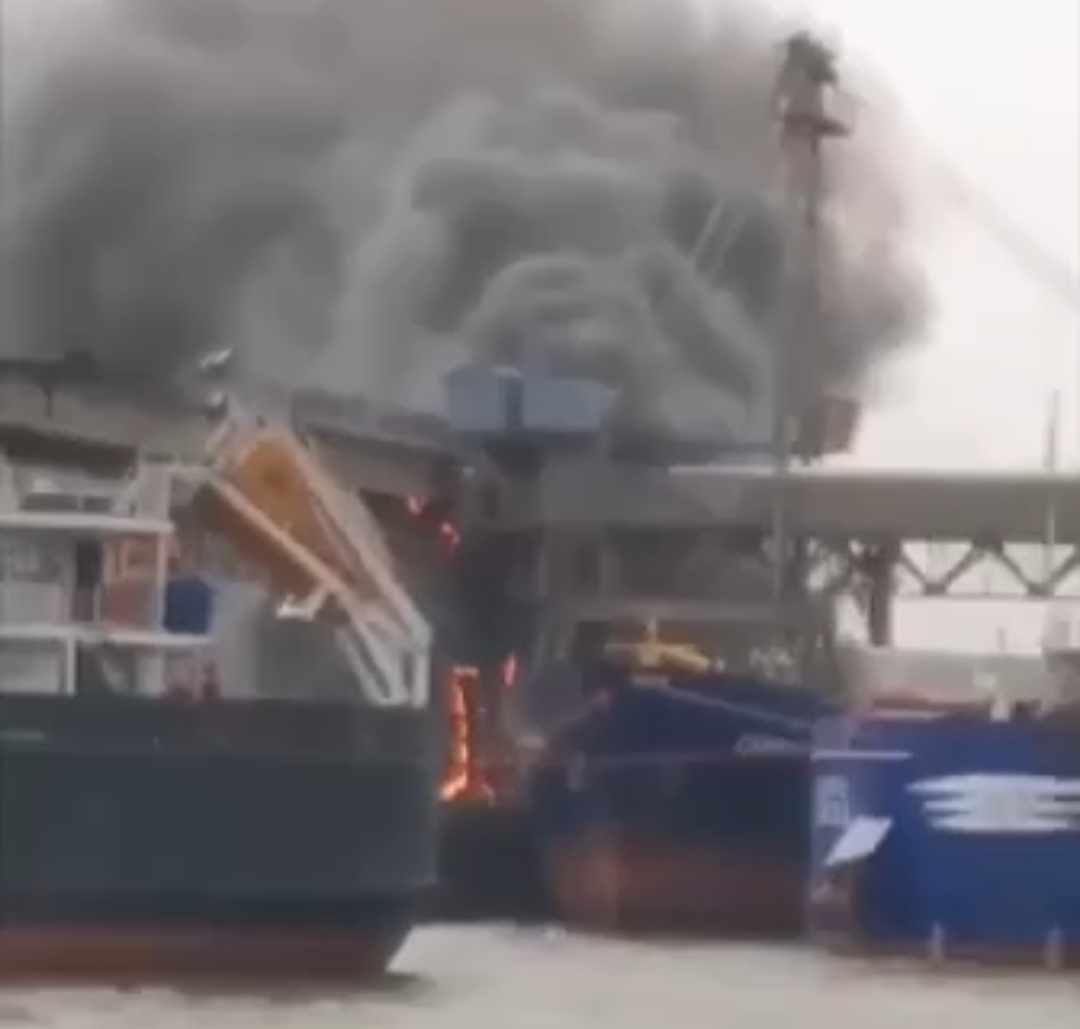 крадене українське зерно