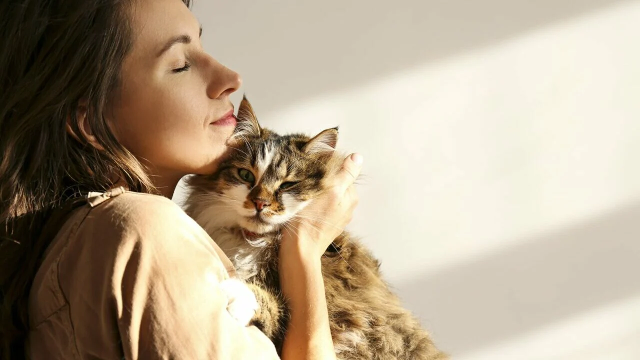 Сучасні методи лікування алергії