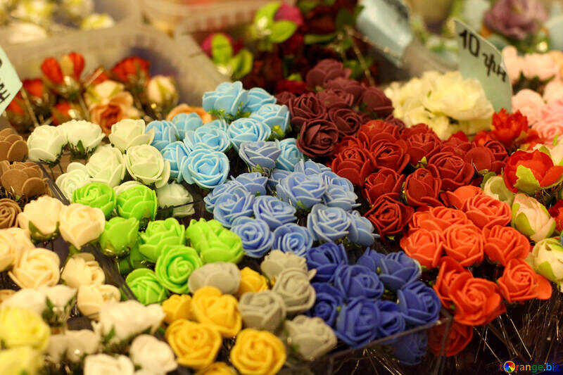 flowers roses multi colored back 1