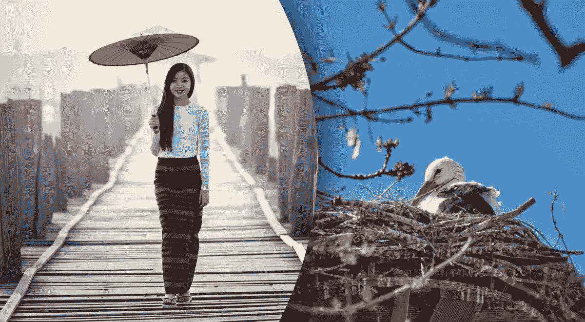 Китайський гороскоп на весну 2025 року