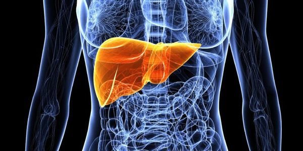 Печінка не болить.
