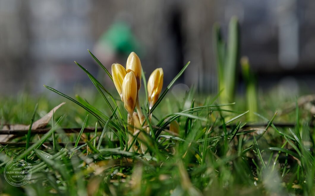 прогноз погоди на березень