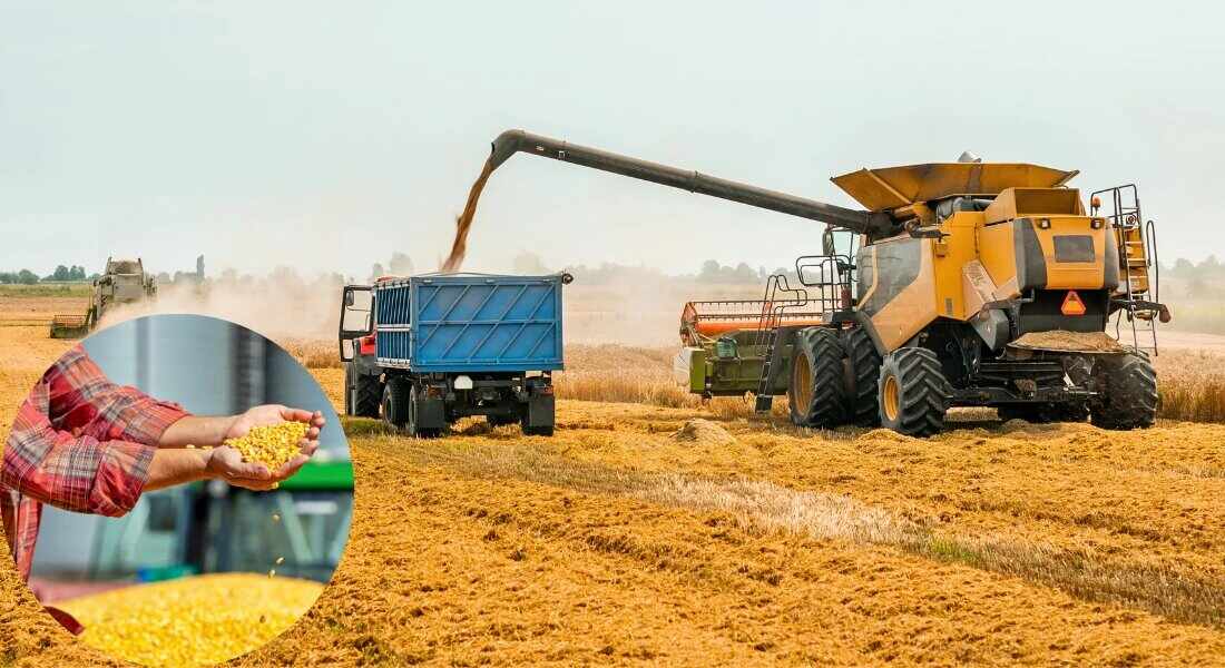 зберігання зерна