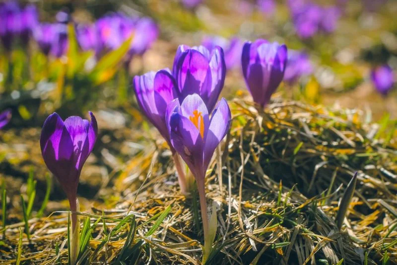 Прогнозу погоди на тиждень