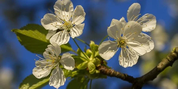 Погода завтра: 12 квітня