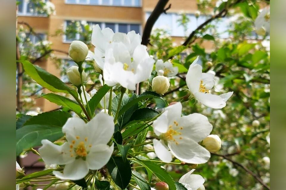 Гороскоп на 30 квітня 2025