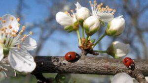 Погода завтра: 12 квітня