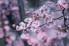 Погода завтра: 12 квітня 