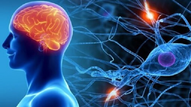 нервова система подає сигнали про небезпеку