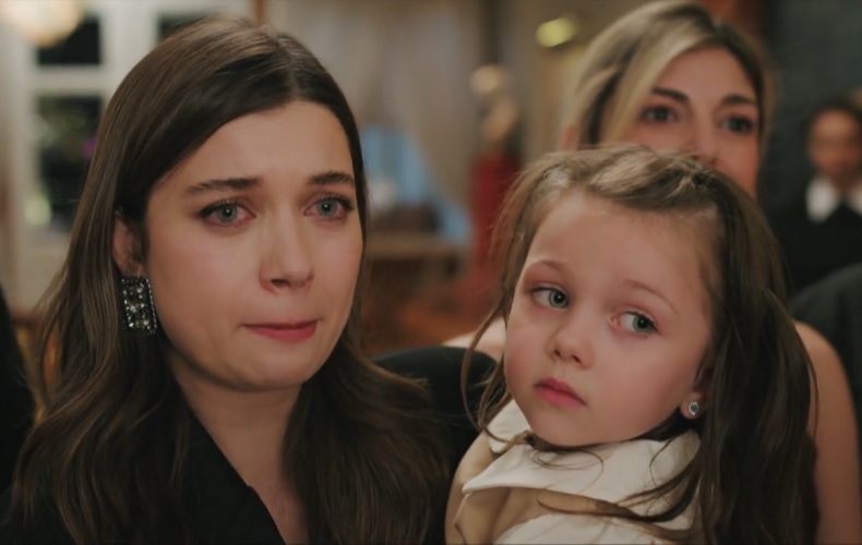 Чим закінчився серіал "Зимородок"